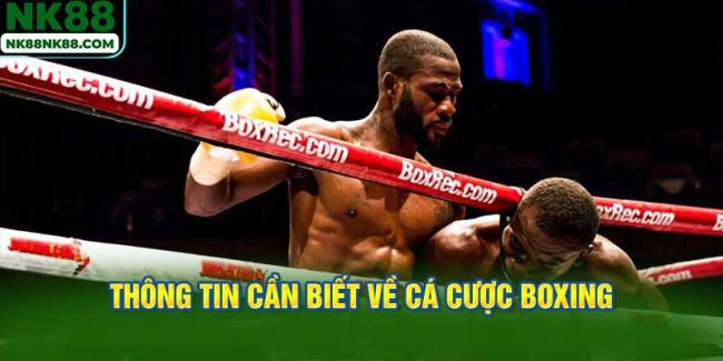 Thông tin cần biết về cá cược Boxing