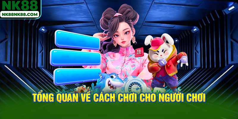 Tổng quan về cách chơi cho người chơi