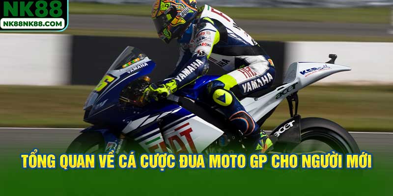 Tổng quan về cá cược đua Moto GP cho người mới