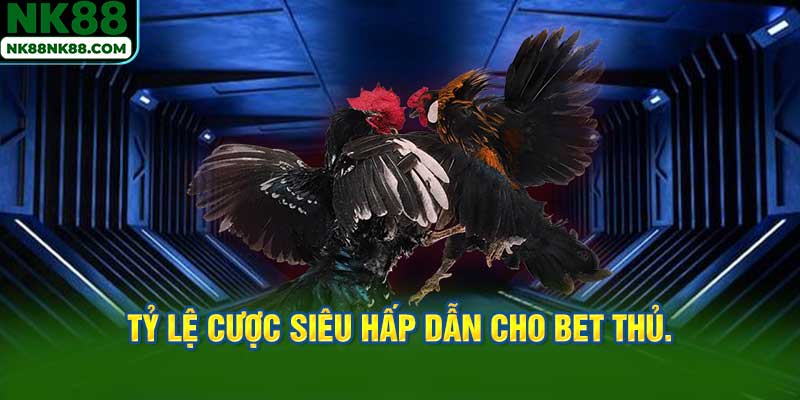 Tỷ lệ cược siêu hấp dẫn cho bet thủ.